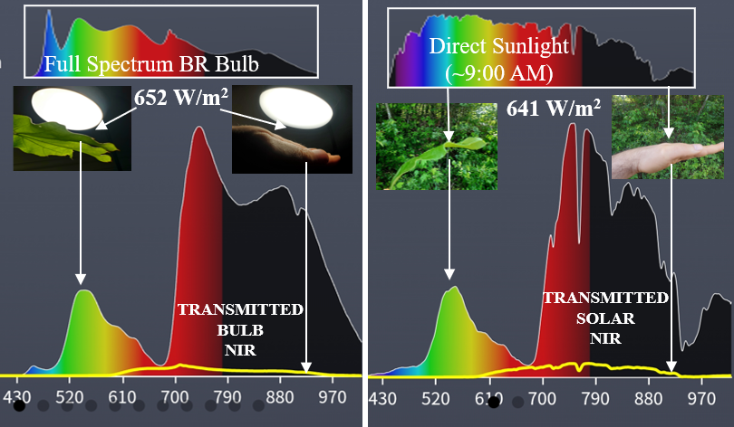 NIR-enhanced BR40 Bulb
