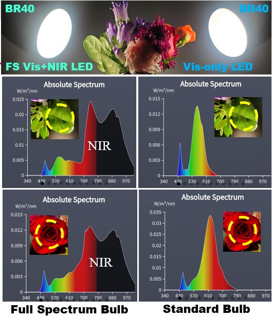 How we experience color with full spectrum BR40 bulb