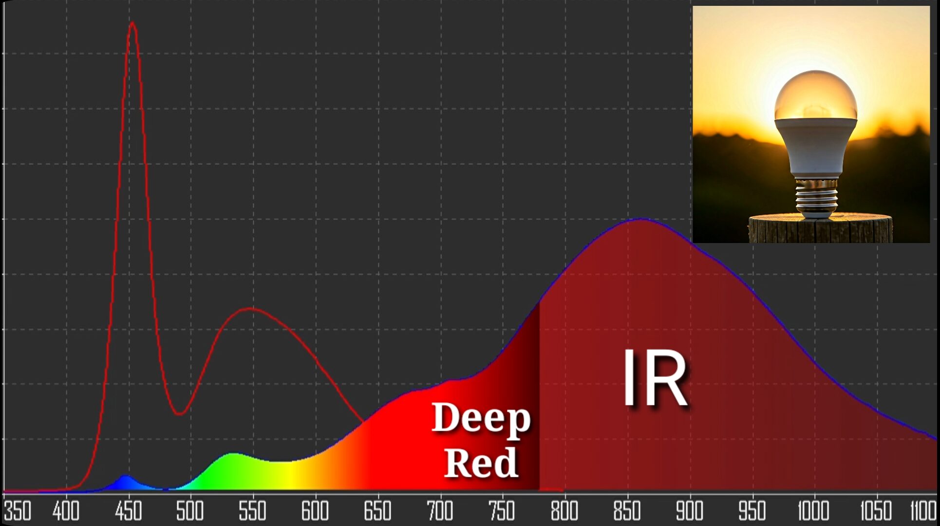 therapeutic infrared and deep red therapy