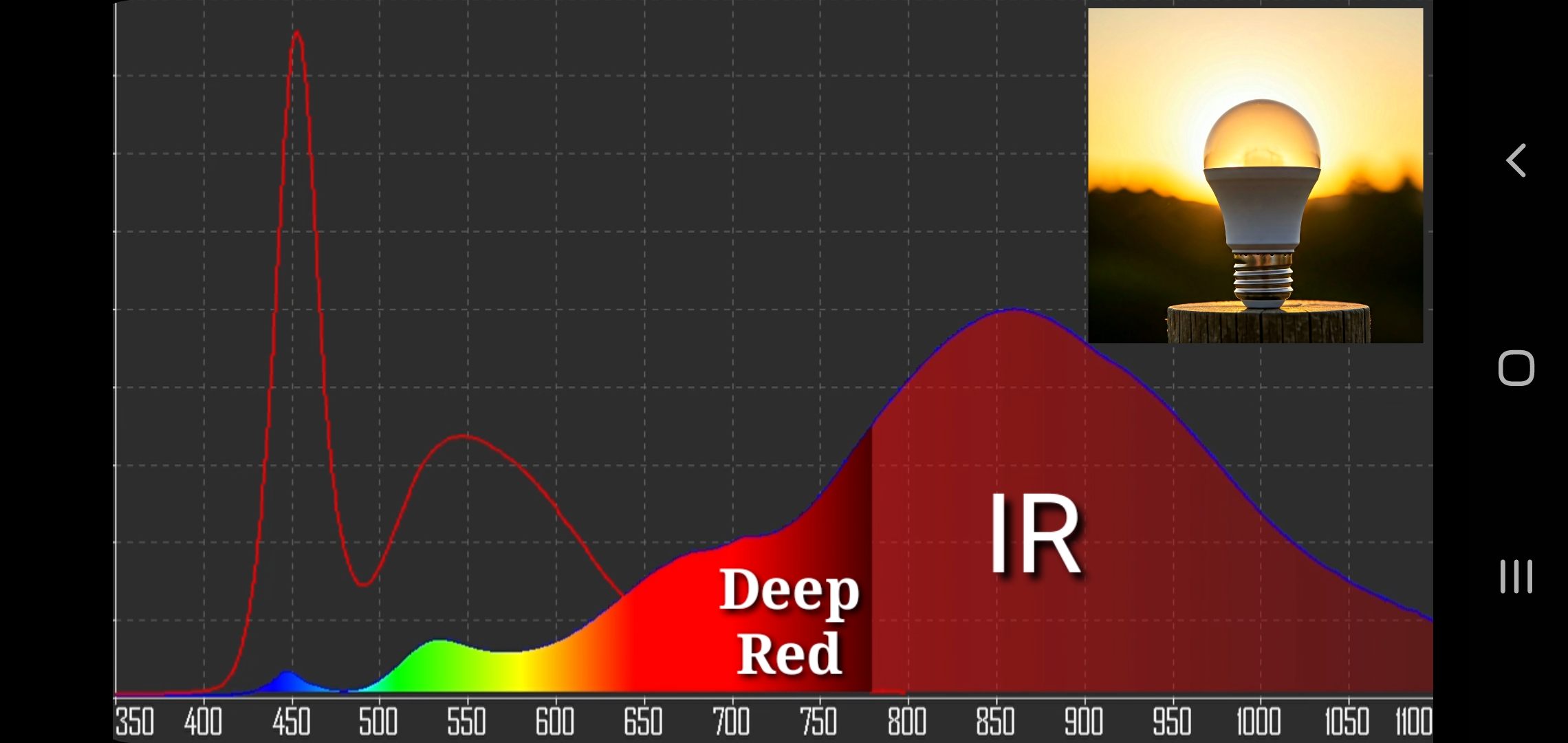 therapeutic infrared and deep red therapy